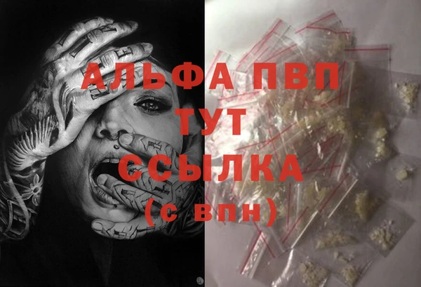 mdma Новодвинск